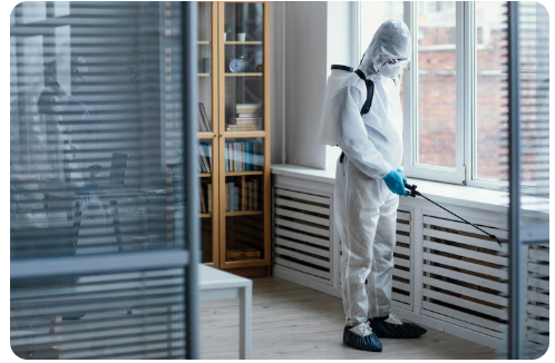 Breathe Easier: The Essential Benefits of Expert Mold Remediation